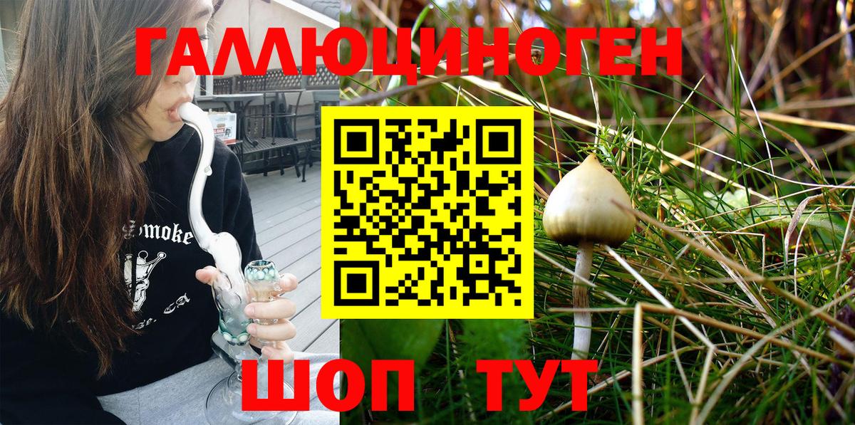 Псилоцибиновые грибы MAGIC MUSHROOMS  Вход с VPN  Зеленокумск 