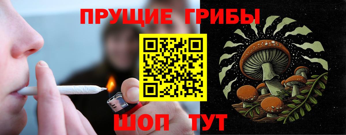 Галлюциногенные грибы прущие грибы Зеленокумск